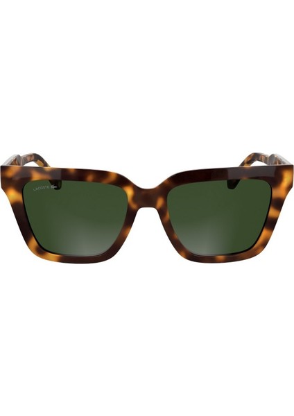 6063 S 214 Havana 55-18-145