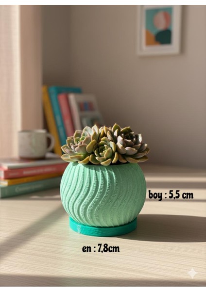 Viuv Saksı Seti fırsatları