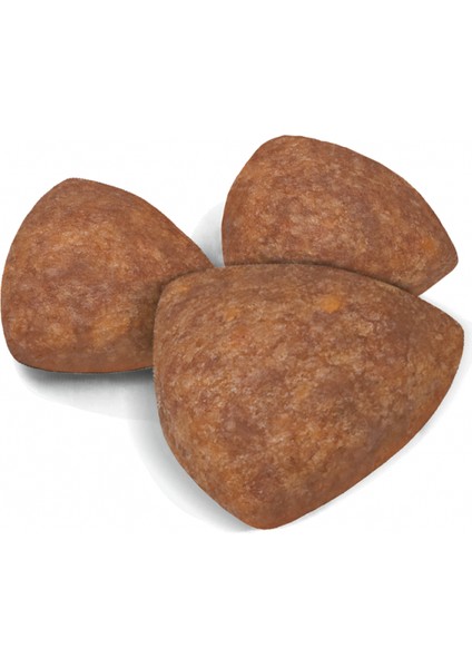 Mını Indoor Puppy Küçük Irklar Için Indoor Yavru Kuru Köpek Mamas