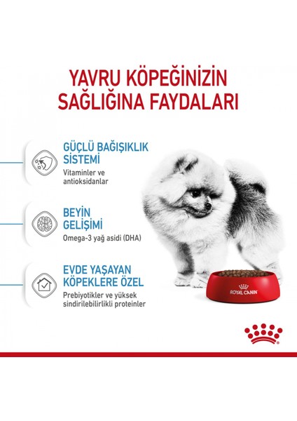 Mını Indoor Puppy Küçük Irklar Için Indoor Yavru Kuru Köpek Mamas