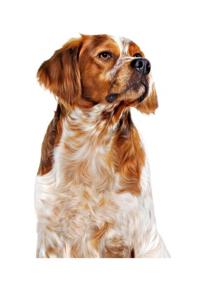 Orta Irklar için Yaş Konserve Köpek Maması 410g fırsatları