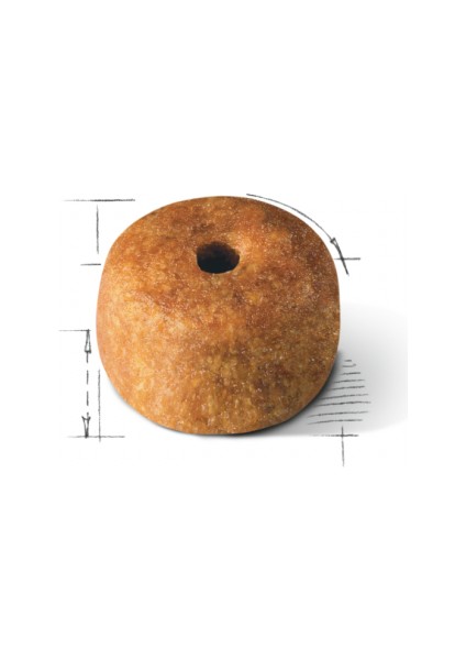 Sıamese Siyam Için Yetişkin Kuru Kedi Maması 2kg