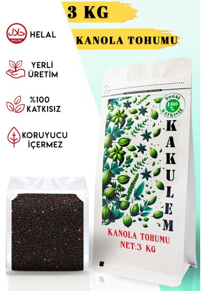 Sertifikalı Kanola Rapiska Tohumu Kuş Yemi 3 kg