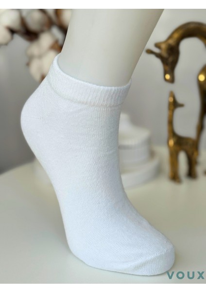 Pamuklu Çok Renkli Erkek Sneaker Çorap 12 'li modelleri