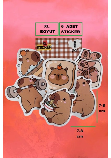 Capybara Büyük Boy Sticker Etiket 6 Adet