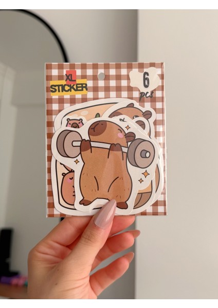 Capybara Büyük Boy Sticker Etiket 6 Adet fiyatları