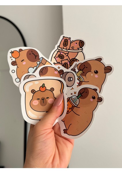 Capybara Büyük Boy Sticker Etiket 6 Adet modelleri