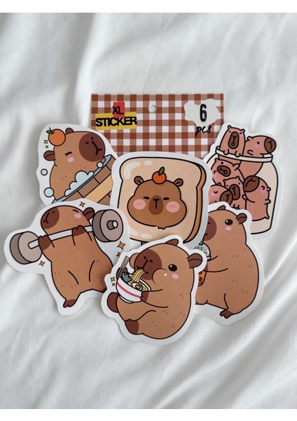 Capybara Büyük Boy Sticker Etiket 6 Adet fırsatları