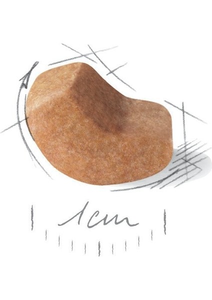 Shih Tzu Yavru Köpek Maması 1.5kg