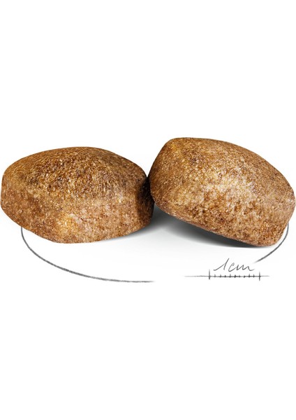 Maxi Dev Irklar Için Yetişkin Köpek Maması 15 Kg