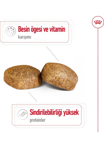 Maxi Dev Irklar Için Yetişkin Köpek Maması 15 Kg