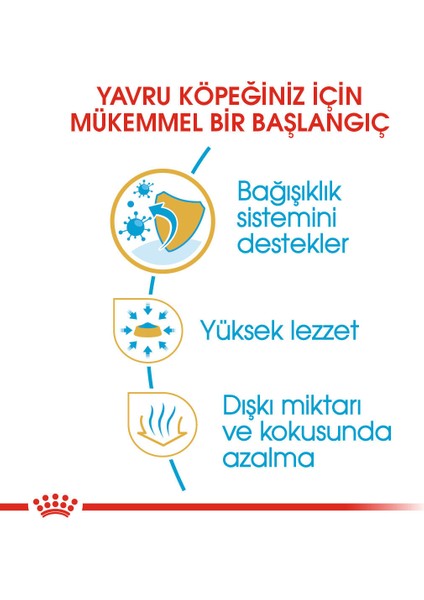 Chihuahua Yavru Köpek Maması 1.5kg