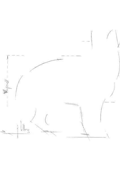 Büyük Irklar için Yaş Köpek Maması 10 x 140g