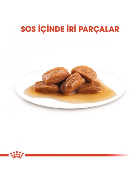 Büyük Irklar için Yaş Köpek Maması 10 x 140g