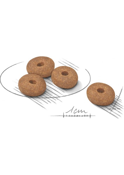 Mini Lightweight Kuru Köpek Maması 3kg