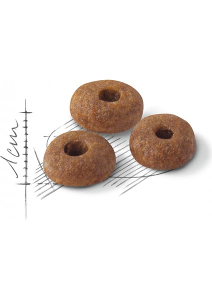 Fit32 Yetişkin Kuru Kedi Maması 400g