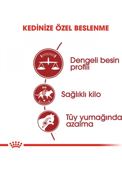 Fit32 Yetişkin Kuru Kedi Maması 400g