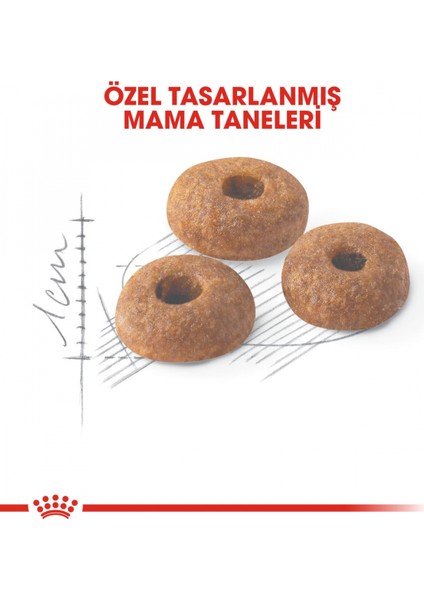 Fit32 Yetişkin Kuru Kedi Maması 400g