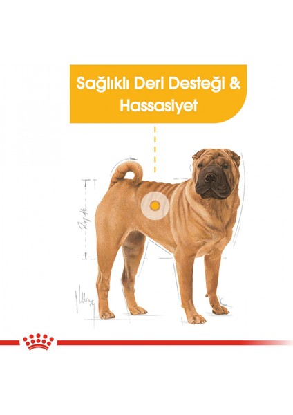 Medium Dermacomfort Yetişkin Köpek Maması 12 Kg