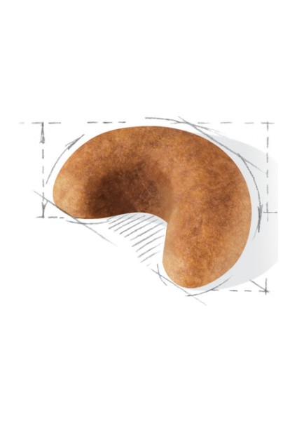 Cocker Yavru Köpek Maması 3kg