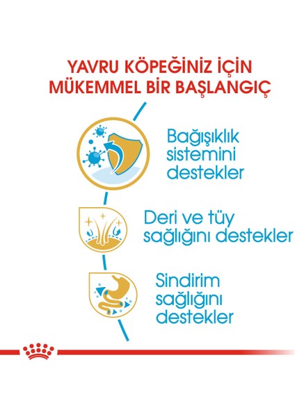 Cocker Yavru Köpek Maması 3kg