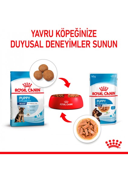 Büyük Irklar için Yavru Yaş Köpek Maması 10 x 140g