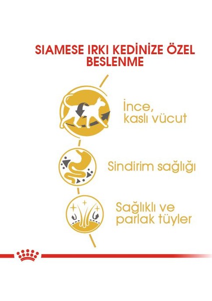 Sıamese Siyam Için Yetişkin Kuru Kedi Maması 2kg