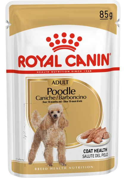 Poodle Yaş Köpek Maması 12 x 85g
