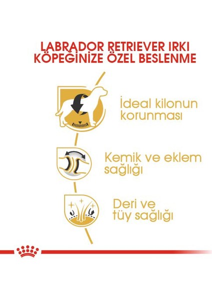 Labrador Retriever Yetişkin Kuru Köpek Maması 12kg