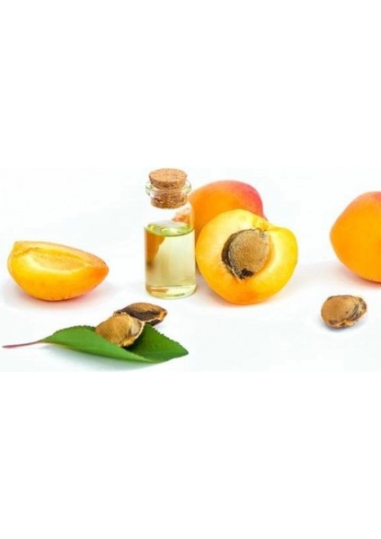 Kayısı Çekirdeği Yağı 20 ml Apricot Seed Oil