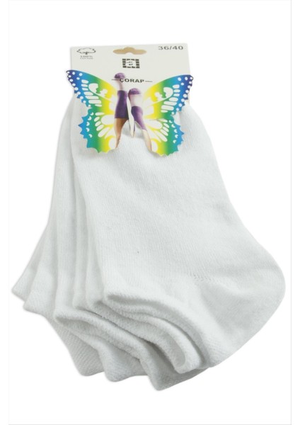 Lvsqvr 3 Çift Beyaz Renkli Snekars Çorap-Beyaz