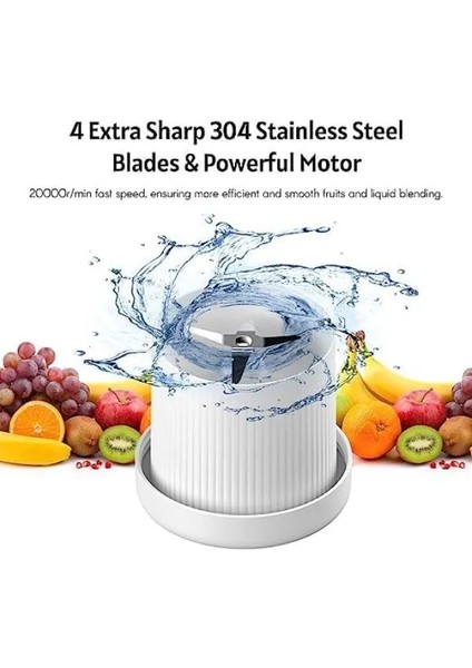 Taşınabilir Mini Blender modelleri