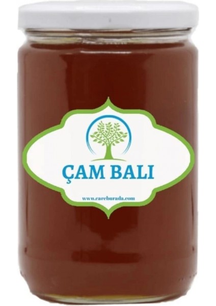 Doğal Çam Balı (850 Gr)