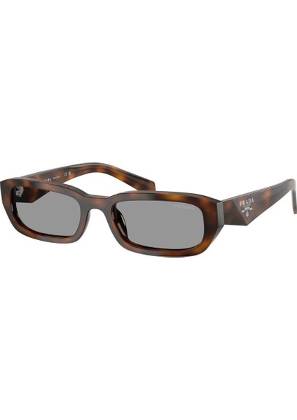 Pr B06S (20D50Q) 53 | Unisex Gri Güneş Gözlüğü