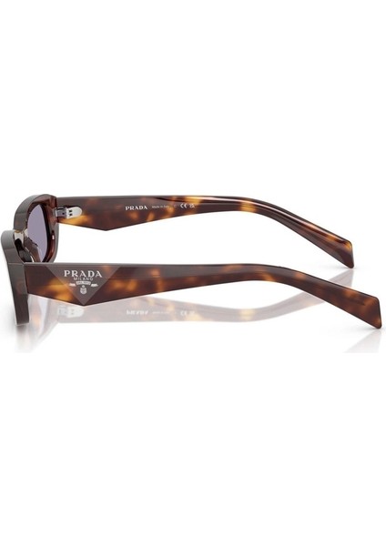 Pr B06S (20D50Q) 53 | Unisex Gri Güneş Gözlüğü fiyatları