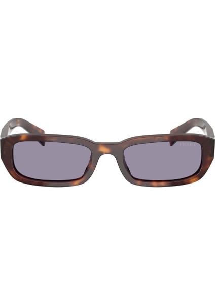 Pr B06S (20D50Q) 53 | Unisex Gri Güneş Gözlüğü modelleri