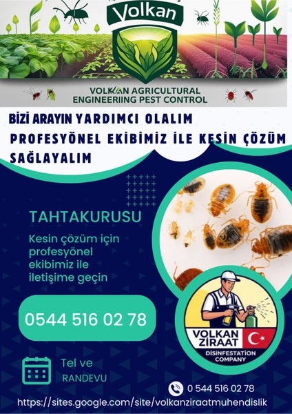 Tahtakurusu Kesin Çözüm Yatak Böceği Tahtakurusunu Bitirin 60GR Tablet Ilaç Kökünü Kazıyın Yok Edin
