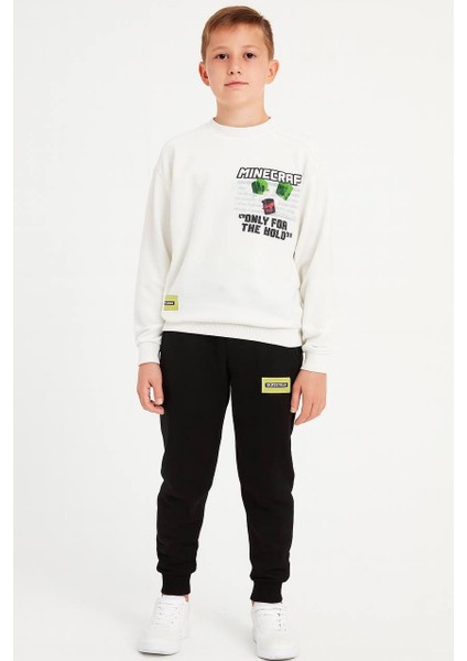 Erkek Çocuk Karakter Detaylı Sweetshirt ve Alt Eşofman Takım fiyatları