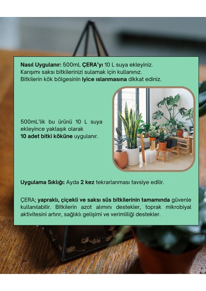 Çera 500 Bitki modelleri