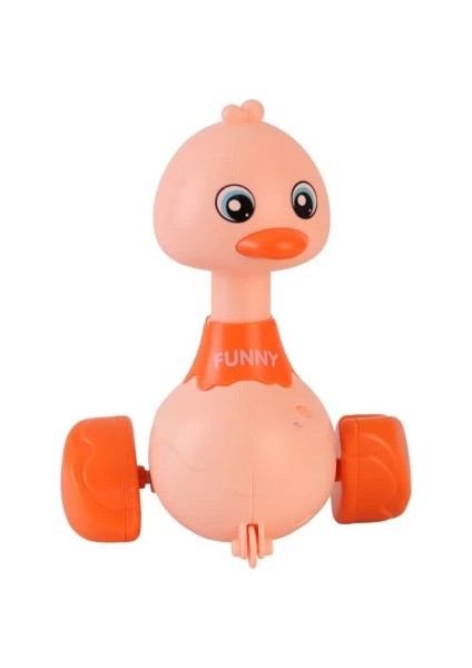 Bfs LG188139 Displayde Basbırak Ördek 72