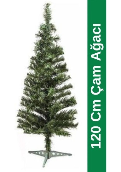 Yılbaşı Çam Ağacı