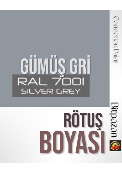 Gümüş Gri Beyaz Eşya Rötuş Boyası 25ML - RAL7001