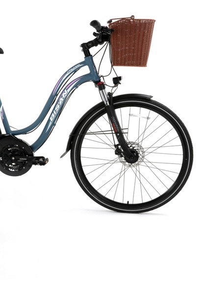 Ctx 6300 Şehir Bisikleti 46 cm Mekanik Disk Fren 28 Jant 21 Vites Gri Pembe fiyatları