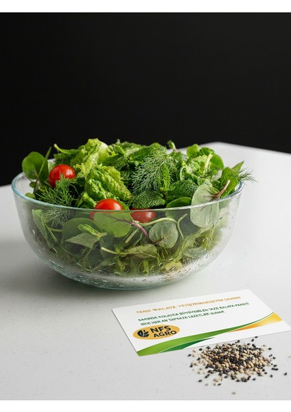 agro taze salata yetiştirme tohum seti fırsatları