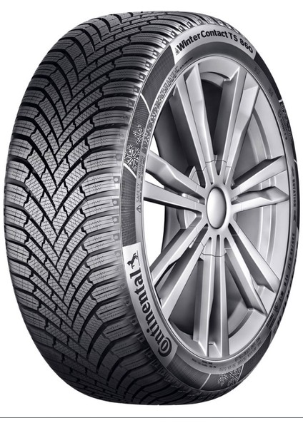 Contınental 205/65R16 95H Wıntercontact Ts 860 Contınental (K21)