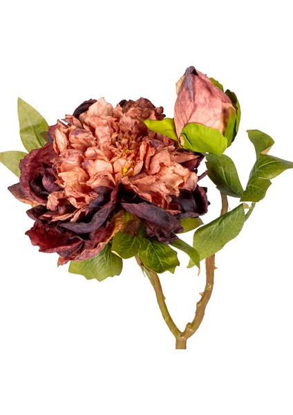 Yapay Çiçek Şakayık Tomurcuklu Gülkurusu 50 Cm. fiyatları