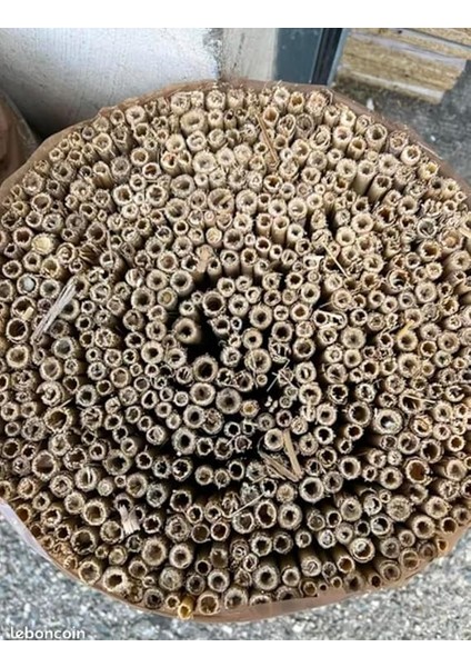 1MX2M Hasır Kamış Çit modelleri