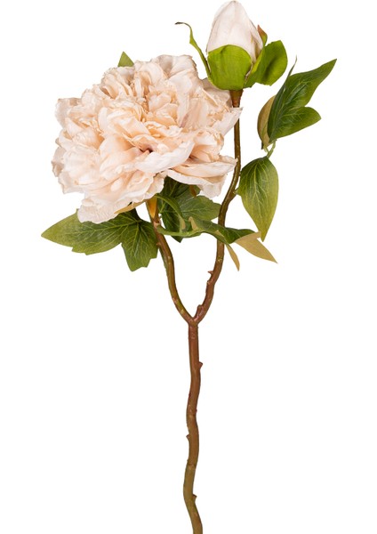 Yapay Çiçek Şakayık Tomurcuklu Krem 50 Cm.
