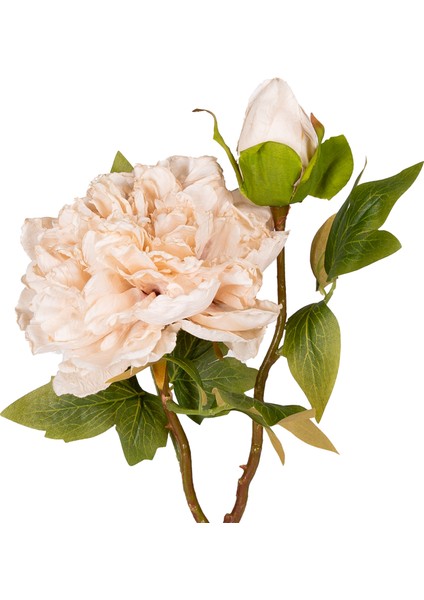 Yapay Çiçek Şakayık Tomurcuklu Krem 50 Cm. fiyatları