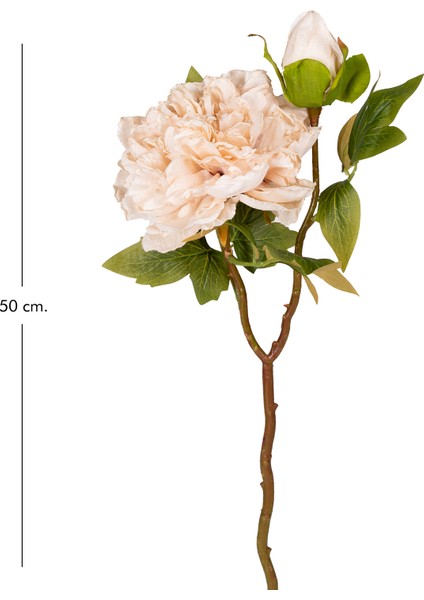 Yapay Çiçek Şakayık Tomurcuklu Krem 50 Cm. modelleri